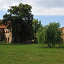 Ruiny Zamku WIerzbna